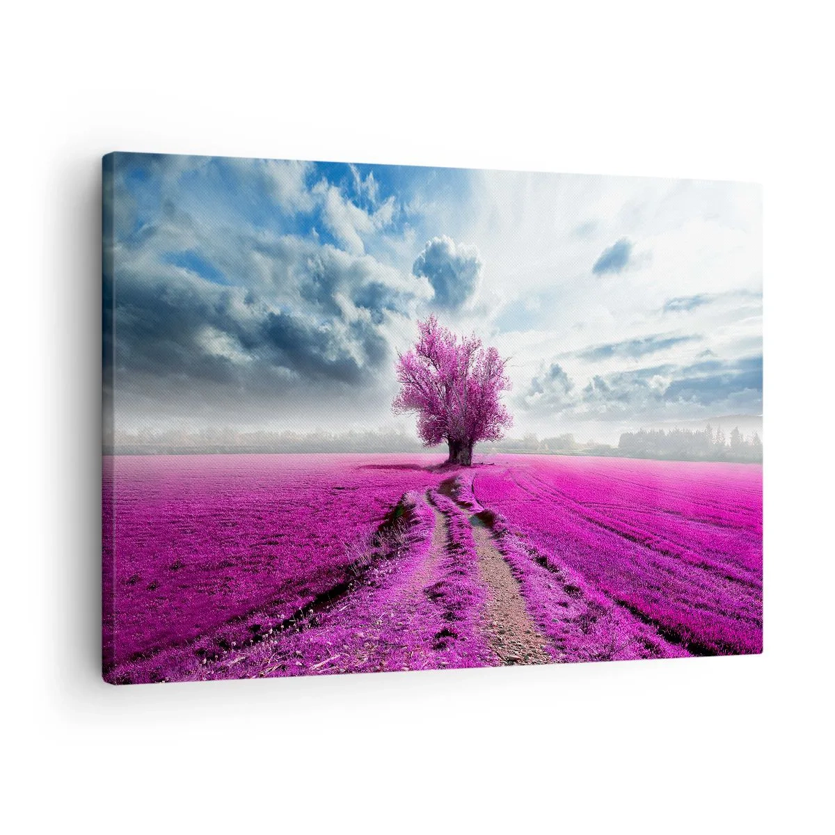 Obraz na plátně - Osamělý strom v poli v odstínu sytě růžové - 70x50cm - Vřesoviště - divočina - Moderní nástěnná dekorace do obývacího pokoje a ložnice ARTTOR