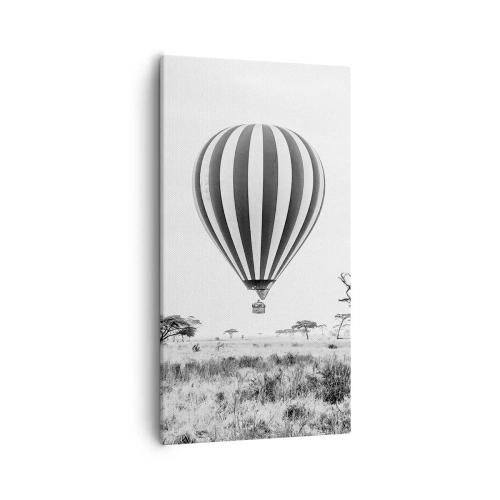 Obraz na plátně - Nad savanou - 55x100 cm