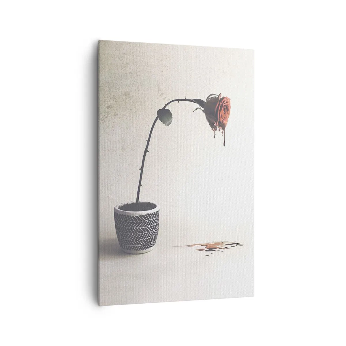Obraz na plátně - Rosa dolorosa - 80x120 cm