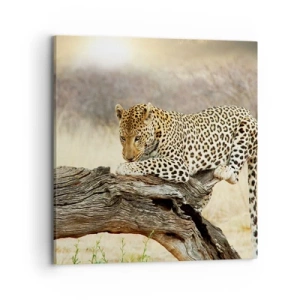 Obraz na plátně - Chodím vlastními cestami - 70x70 cm