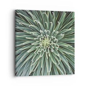 Obraz na plátně - Zrození hvězdy - 40x40 cm