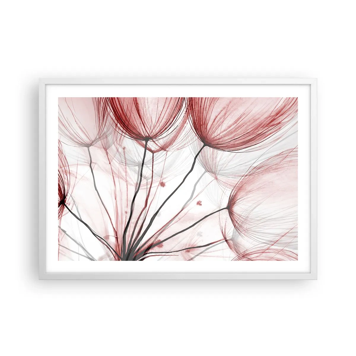 Plakát v bílém rámu - Před odletem - 70x50 cm