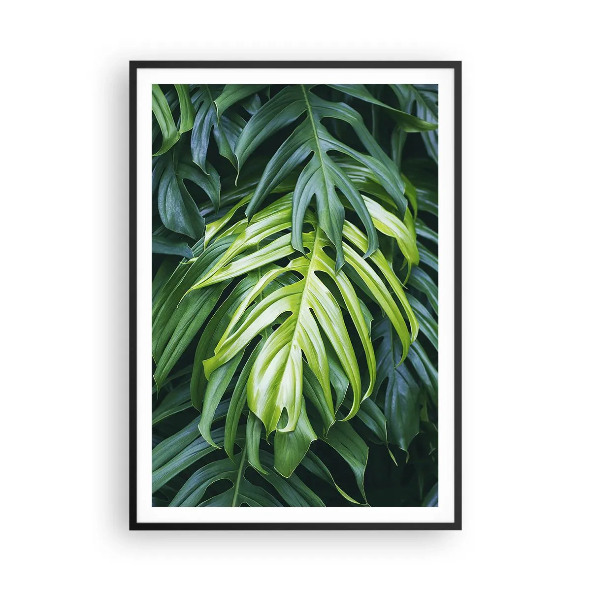 Plakát v černém rámu - Ponořit se do svěžesti - 70x100 cm