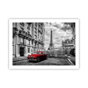 Plakát - Dravec ve městě - 70x50 cm