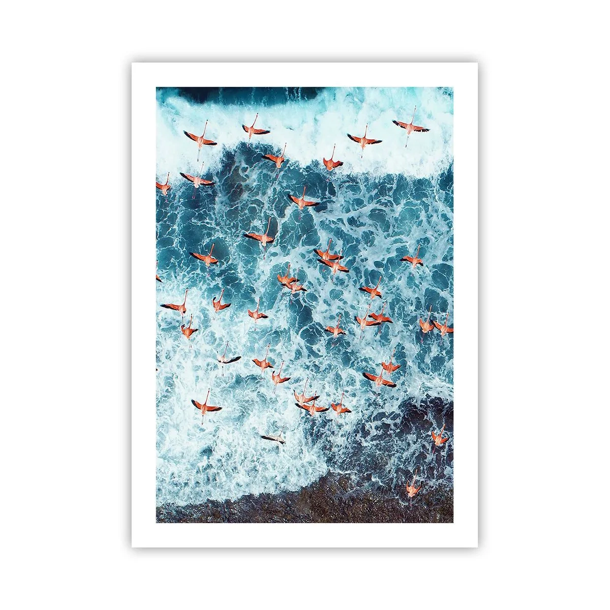 Plakát - Přímořský průvod - 50x70 cm