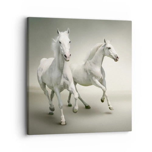 Obraz na plátně - White power! - 30x30 cm