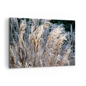 Obraz na plátně - Mrazem pokryté - 120x80 cm