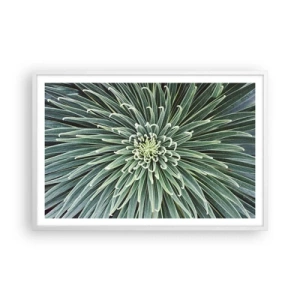 Plakát v bílém rámu - Zrození hvězdy - 91x61 cm