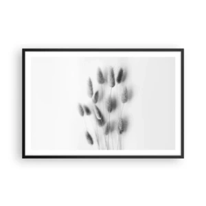 Plakát v černém rámu - Její načechranost tráva - 91x61 cm