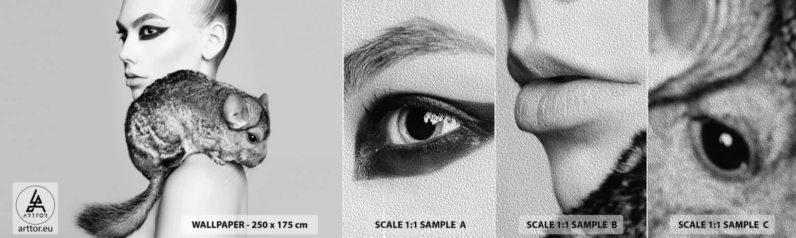 Vzor Fototapety Premium Sand - Dáma s činčilou - Žena, žena s činčilou, Modelka - 100x30 cm