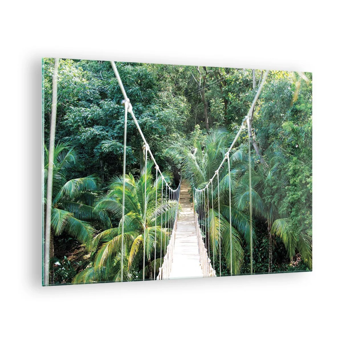 Obraz na skle - Welcome to the jungle! - 70x50 cm