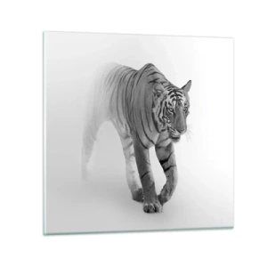 Obraz na skle - Přikrčený v mlze - 70x70 cm