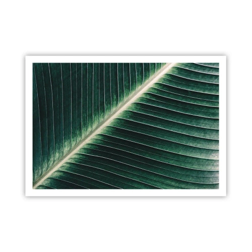 Plakát - Rytmus přírody - 100x70 cm