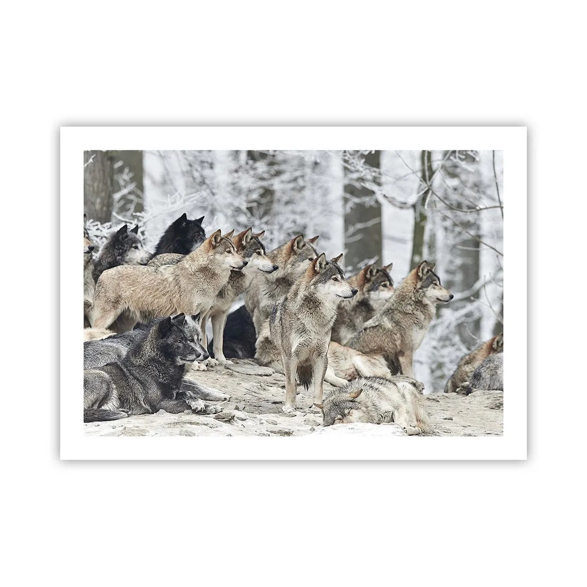 Plakát - Rodina a přátelé - 70x50 cm