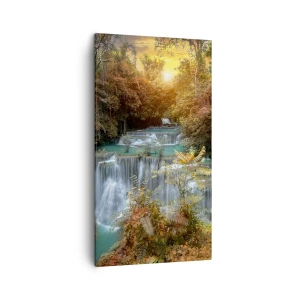 Obraz na plátně - Ukrytý poklad lesa - 45x80 cm