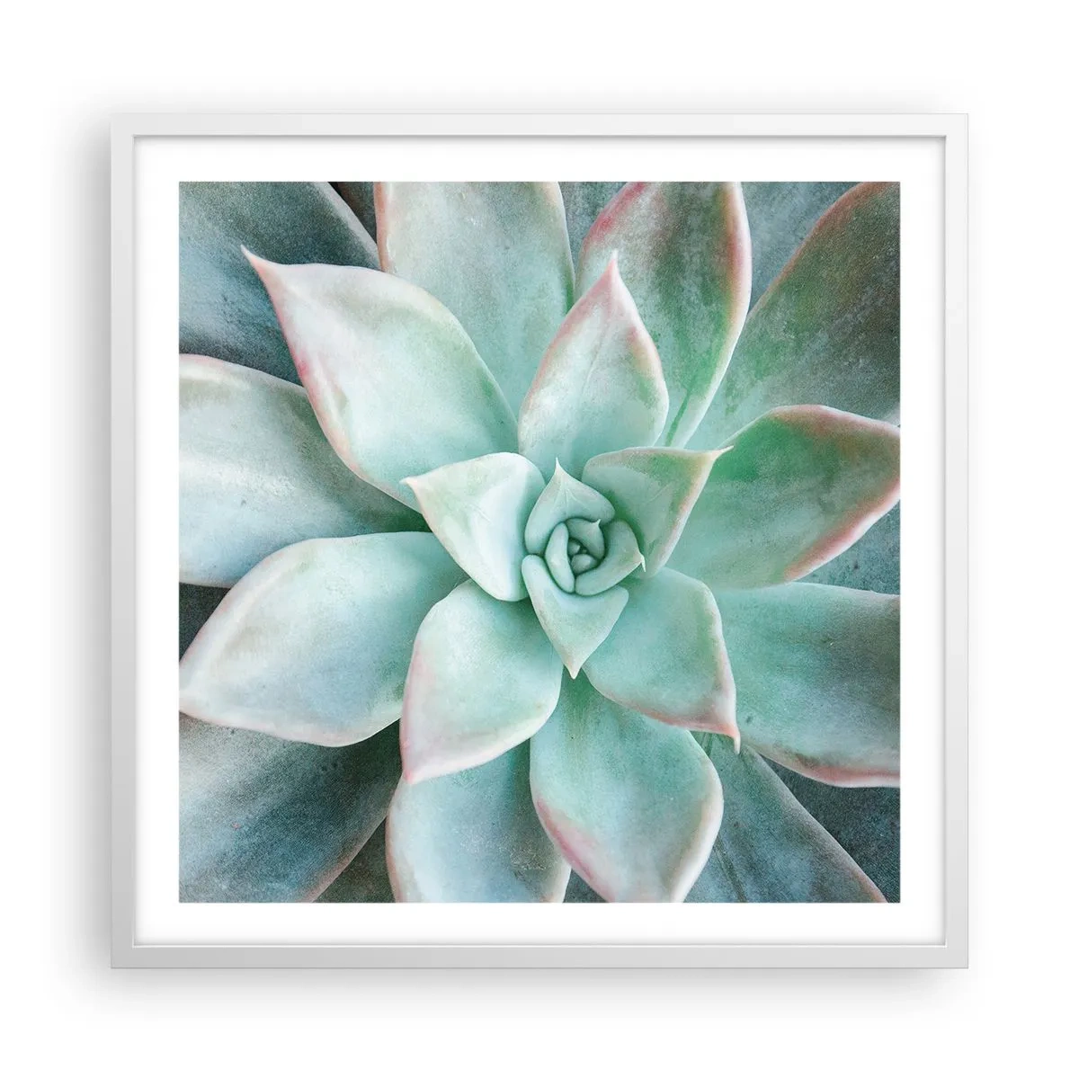 Plakát v bílém rámu - Srdce pouště - 60x60 cm