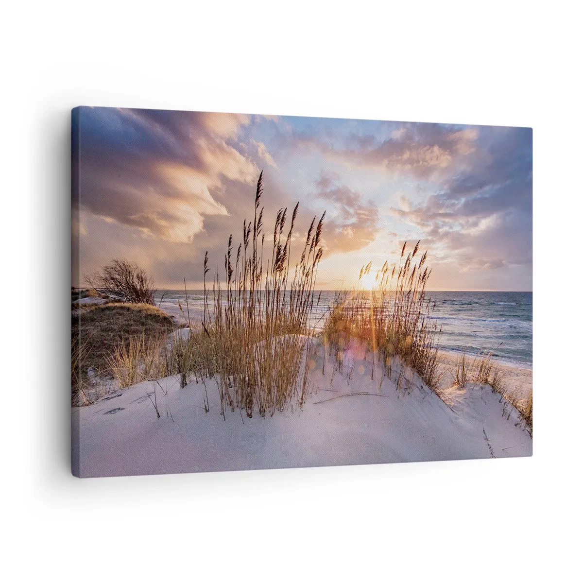 Obraz na plátně - Duny s trávou na pozadí zapadajícího slunce - 70x50cm - Rozloučení se sluncem a větrem - Moderní nástěnná dekorace do obývacího pokoje a ložnice ARTTOR