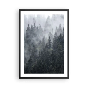 Plakát v černém rámu - Mlžný les s vysokými jehličnany - 50x70cm - Lesní svítání - Moderní nástěnná dekorace do obývacího pokoje a ložnice ARTTOR