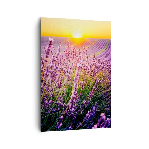 Obraz na plátně - Voňavý lán - 70x100 cm