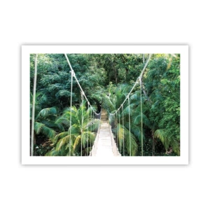 Plakát - Welcome to the jungle! - 70x50 cm