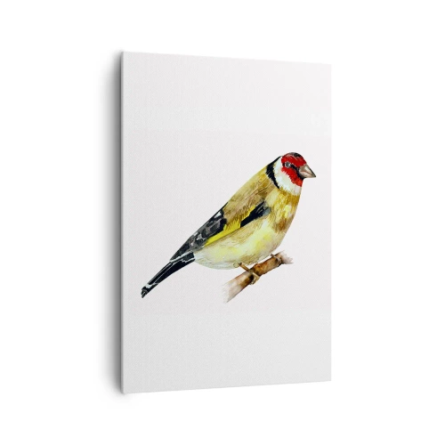 Obraz na plátně - Ptáčí portrét - 70x100 cm