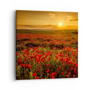 Obraz na plátně - Mezi vlnami šumících luk, mezi záplavou květů - 40x40 cm