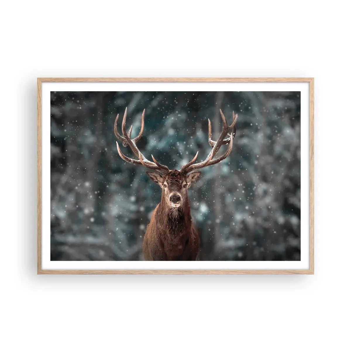 Plakát v rámu světlý dub - Skutečný král lesa - 100x70 cm