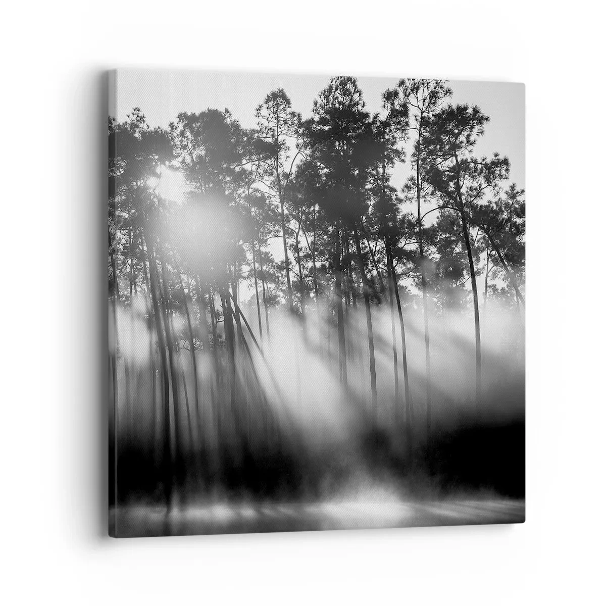 Obraz na plátně - Nezastavitelné slunce - 40x40 cm