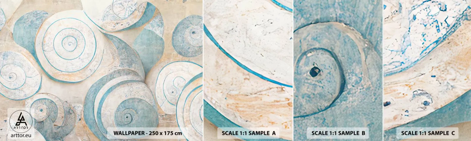 Fototapeta Vzorek Standard Eco - Co skrývá mušle? - Minimalismus, Mušle, Jasný - 100x30 cm