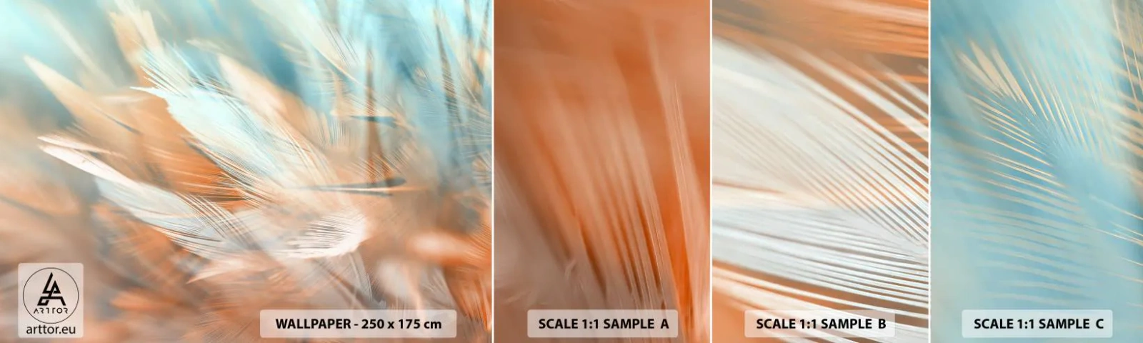 Fototapeta Vzorek Standard Eco - V krajině něhy - Jemné, Peří, Minimalismus - 100x30 cm