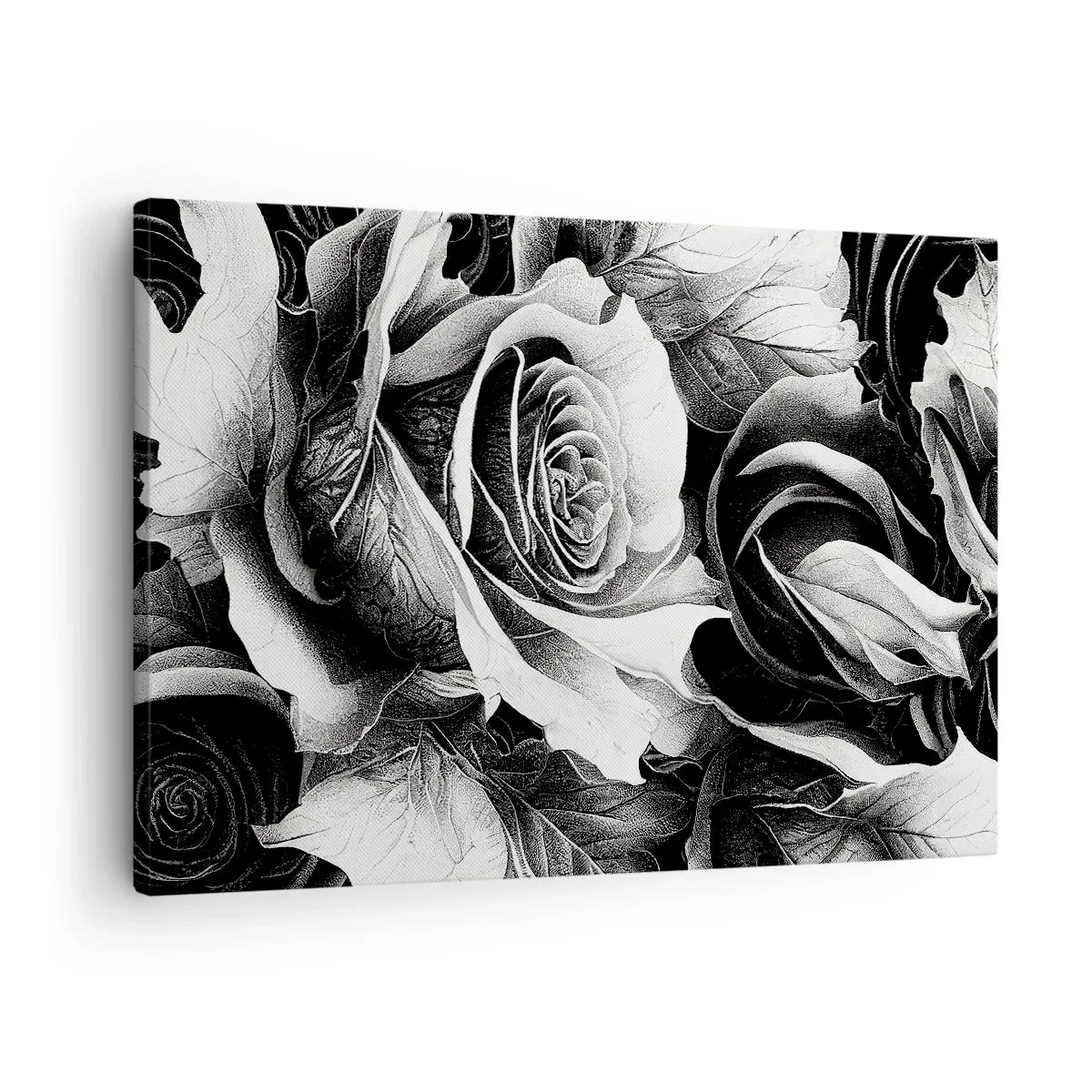Obraz na plátně - Černé a bílé růže v elegantní kompozici - 70x50cm - Vždy královnou - Moderní nástěnná dekorace do obývacího pokoje a ložnice ARTTOR