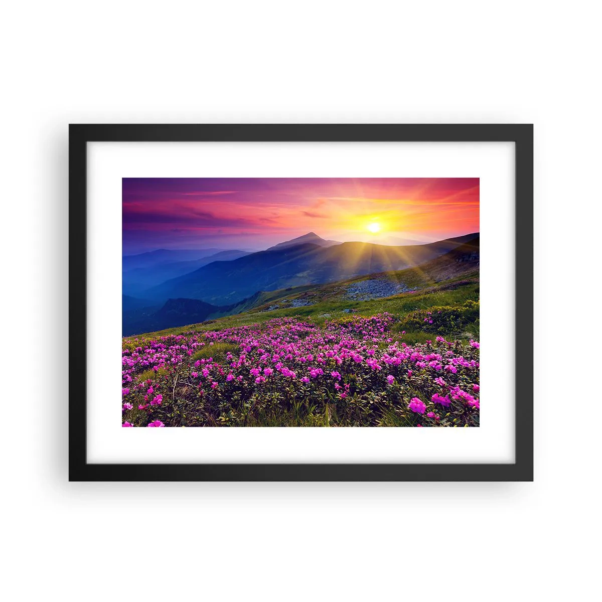 Plakát v černém rámu - …A kolem voní kosodřevina a voní byliny - 40x30 cm