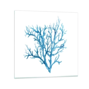 Obraz na skle - Mořský filigrán - 60x60 cm