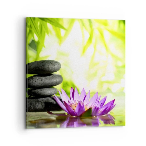 Obraz na plátně - V bambusovém hájku - 70x70 cm