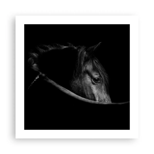 Plakát - Černý kníže - 50x50 cm