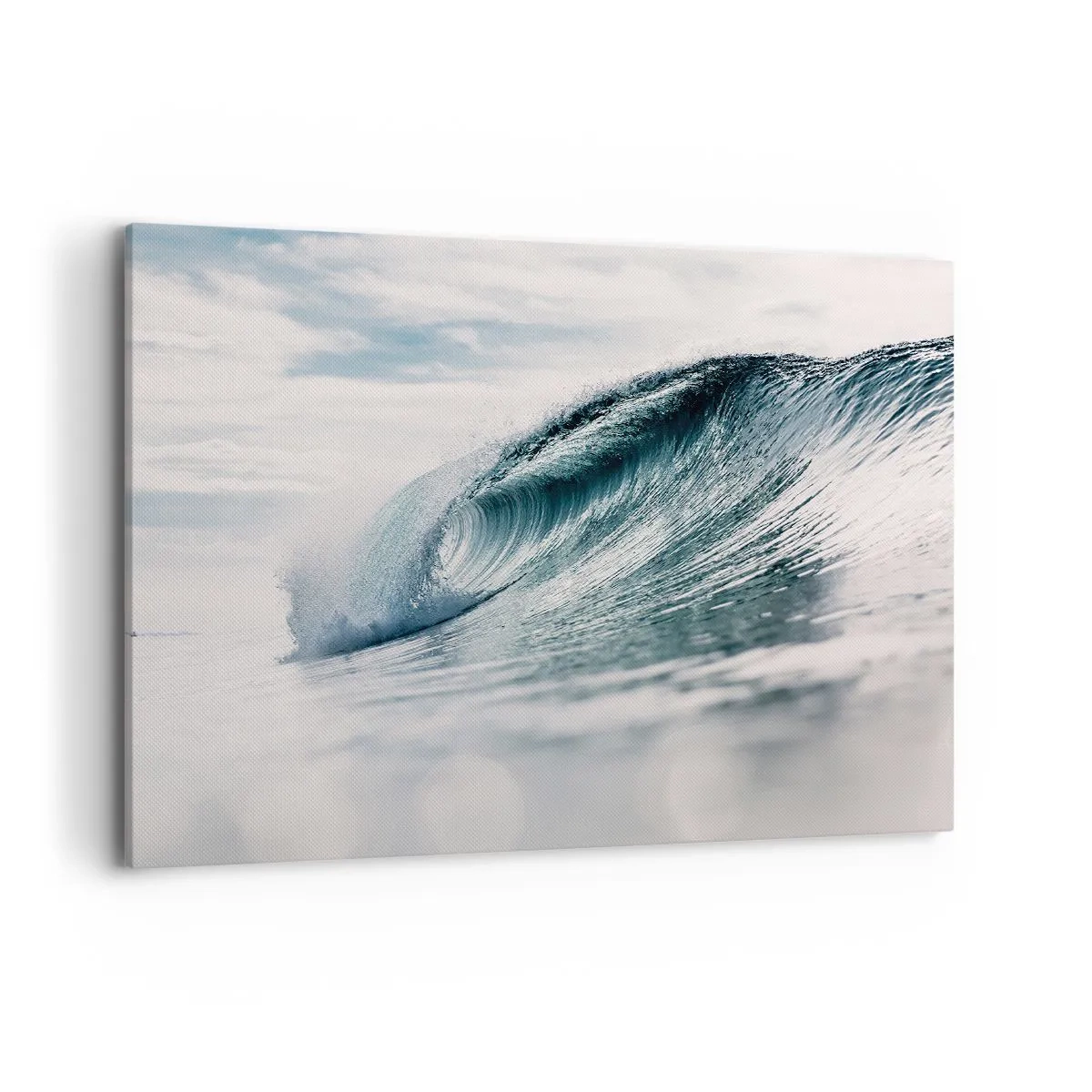 Obraz na plátně - Vodní špička - 100x70 cm