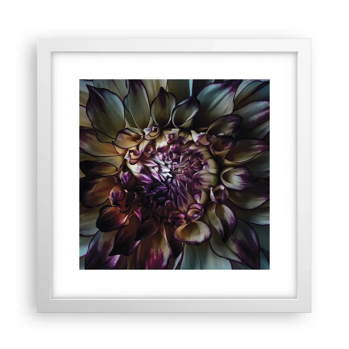 Plakát v bílém rámu - Rozkvět mládí - 30x30 cm