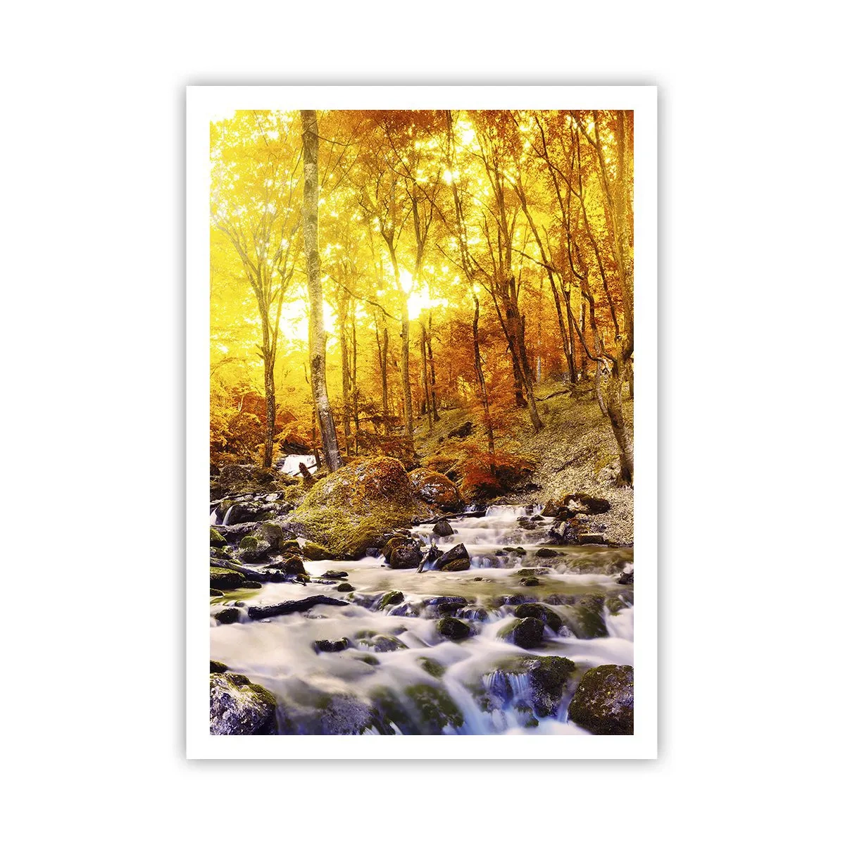 Plakát - Kameny zasazené do zlata a platiny - 70x100 cm