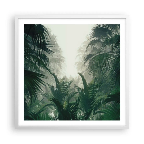 Plakát v bílém rámu - Tropická záhada - 60x60 cm