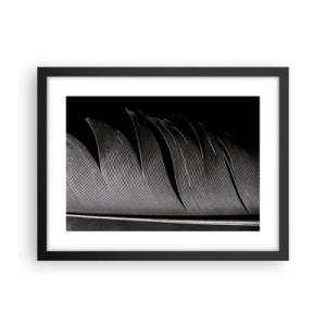 Plakát v černém rámu - Peří – nádherná konstrukce - 40x30 cm