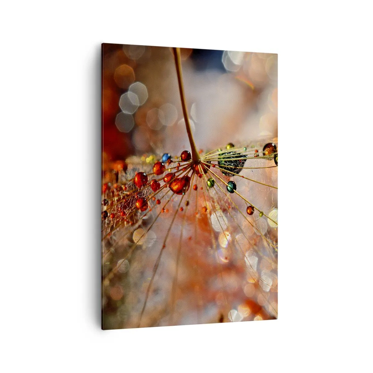 Obraz na plátně - Navlečeno na pavučinu - 70x100 cm