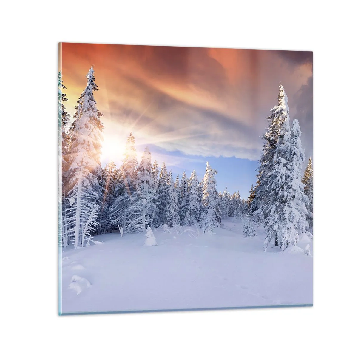 Obraz na skle - Sněžné představení přírody - 70x70 cm