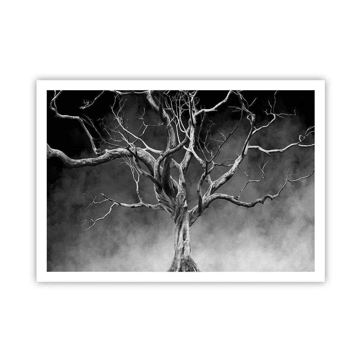 Plakát - Původní a svaté - 100x70 cm
