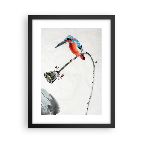 Plakát v černém rámu - Život louky - 30x40 cm