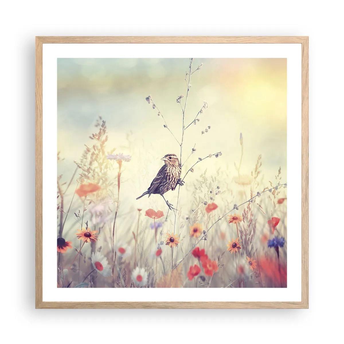 Plakát v rámu světlý dub - Portrét ptáka s loukou v pozadí - 60x60 cm