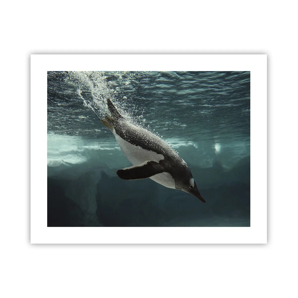 Plakát - Vítejte v mém světě - 50x40 cm