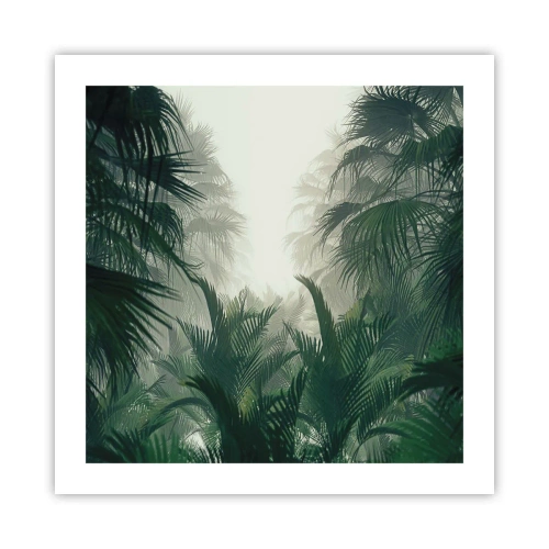 Plakát - Tropická záhada - 50x50 cm