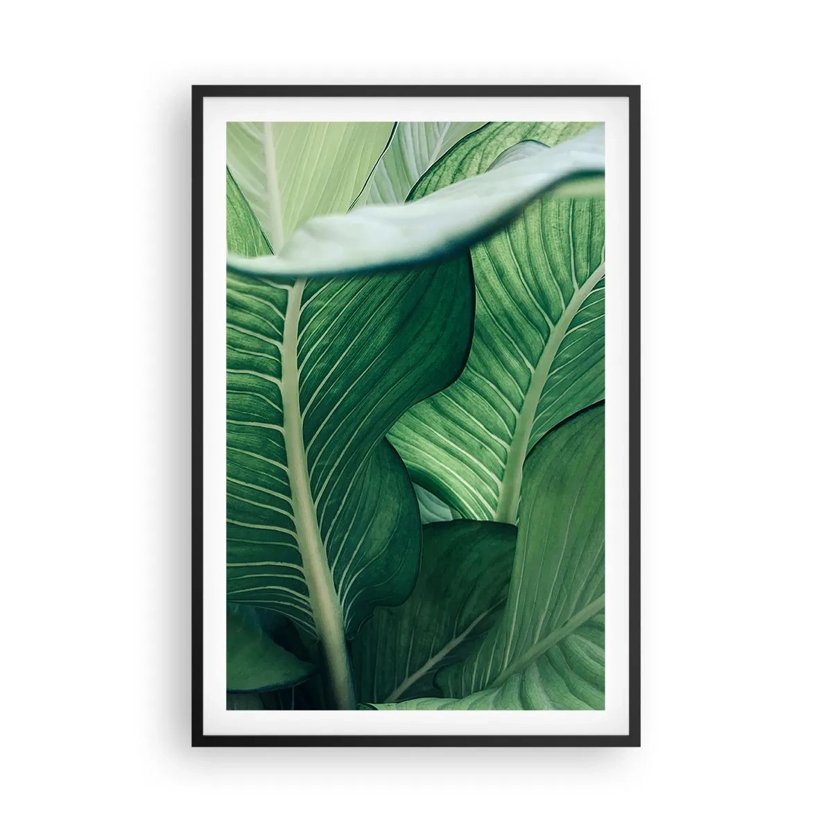 Plakát v černém rámu - Intenzivně zelený život - 61x91 cm