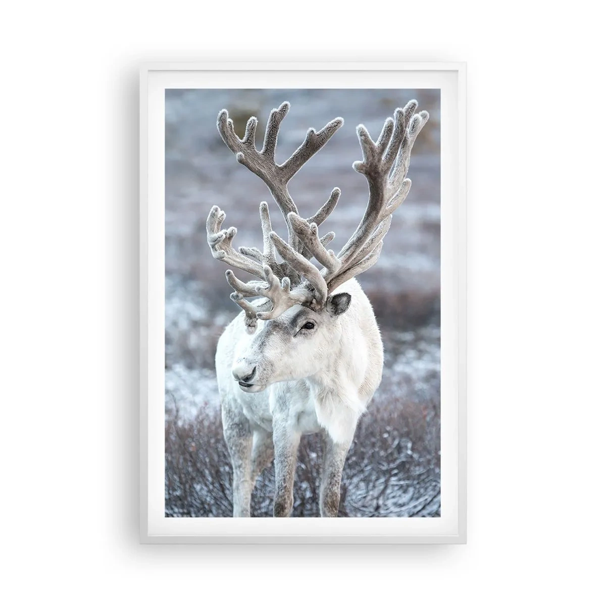 Plakát v bílém rámu - Sluneční portrét - 61x91 cm