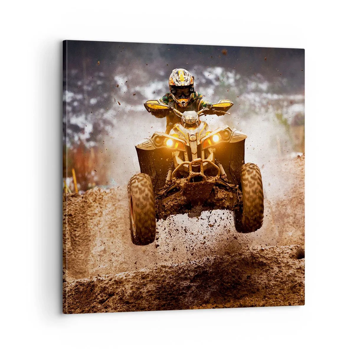 Obraz na plátně - No risk no fun - 60x60 cm